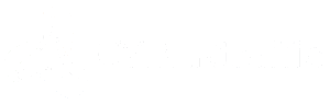 CYBERtraffic